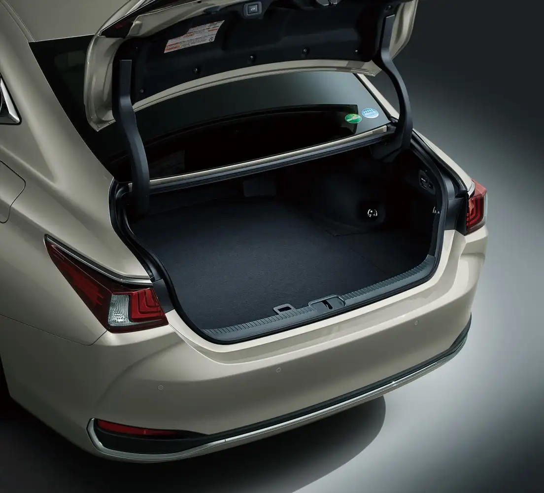 2022 Lexus ES 350 Platinum - view 8