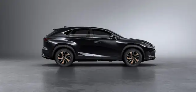 2022 Lexus NX 350 Premier - Image 4