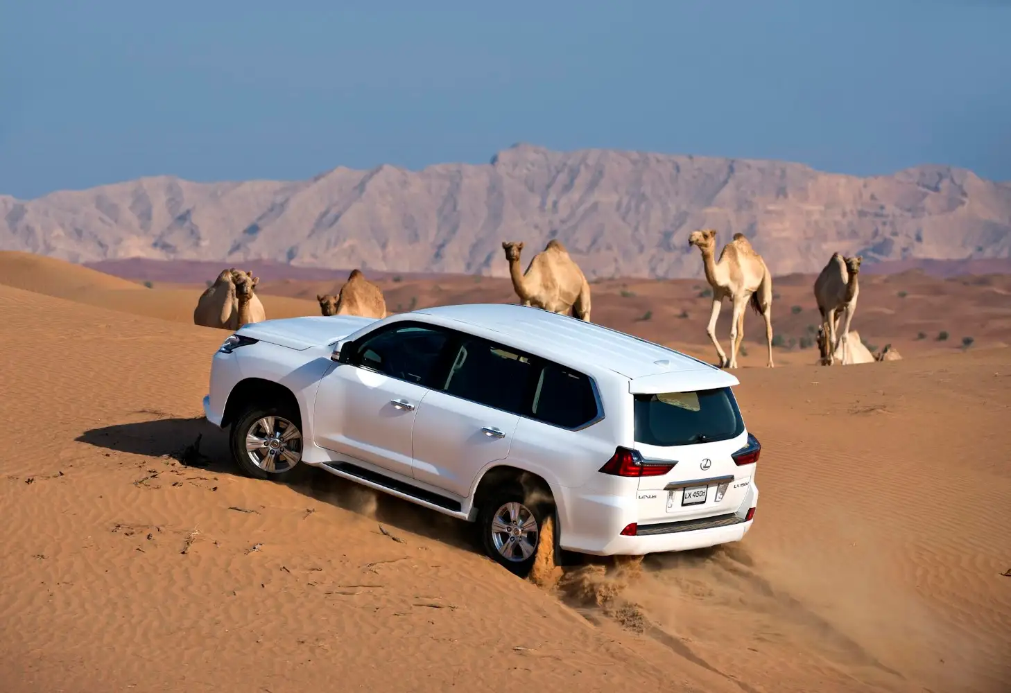 2021 Lexus LX 570 Signature Upgraded Options - view 7