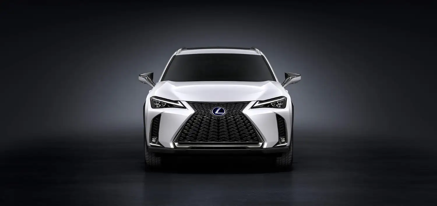 2020 Lexus UX 200 F Sport Platinum - view 5