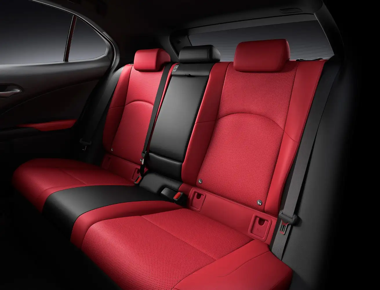 2020 Lexus UX 200 F Sport Platinum - view 9