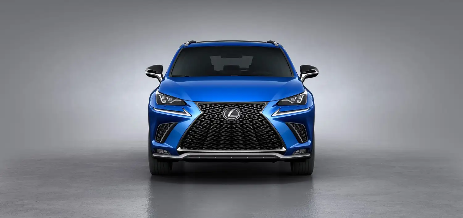 2020 Lexus NX 300 F-Sport Platinum - view 9