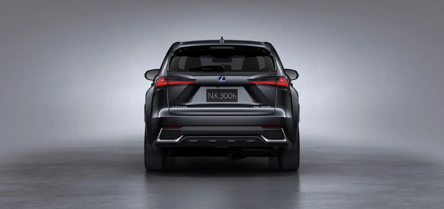 2022 Lexus NX 350 Premier - view 6