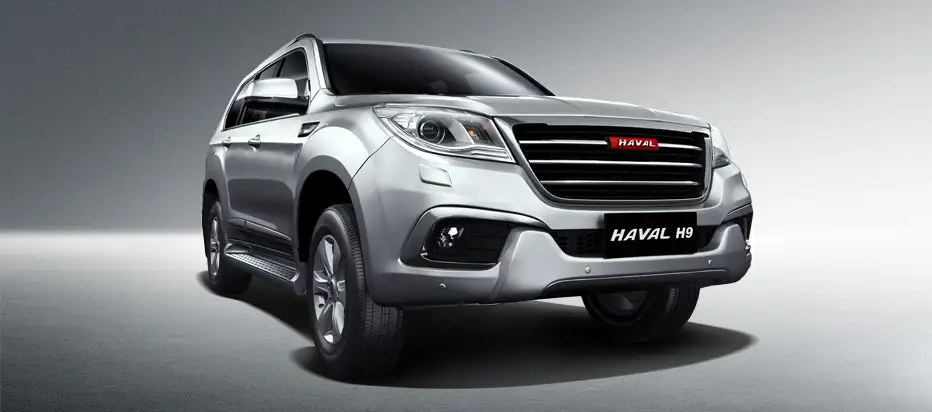 2022 Haval H9 Super Dignity - view 6