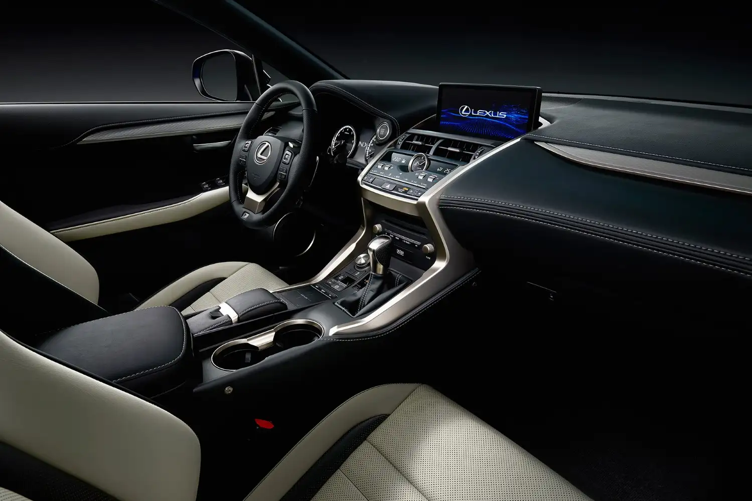 2020 Lexus NX 300 F-Sport Platinum - view 11