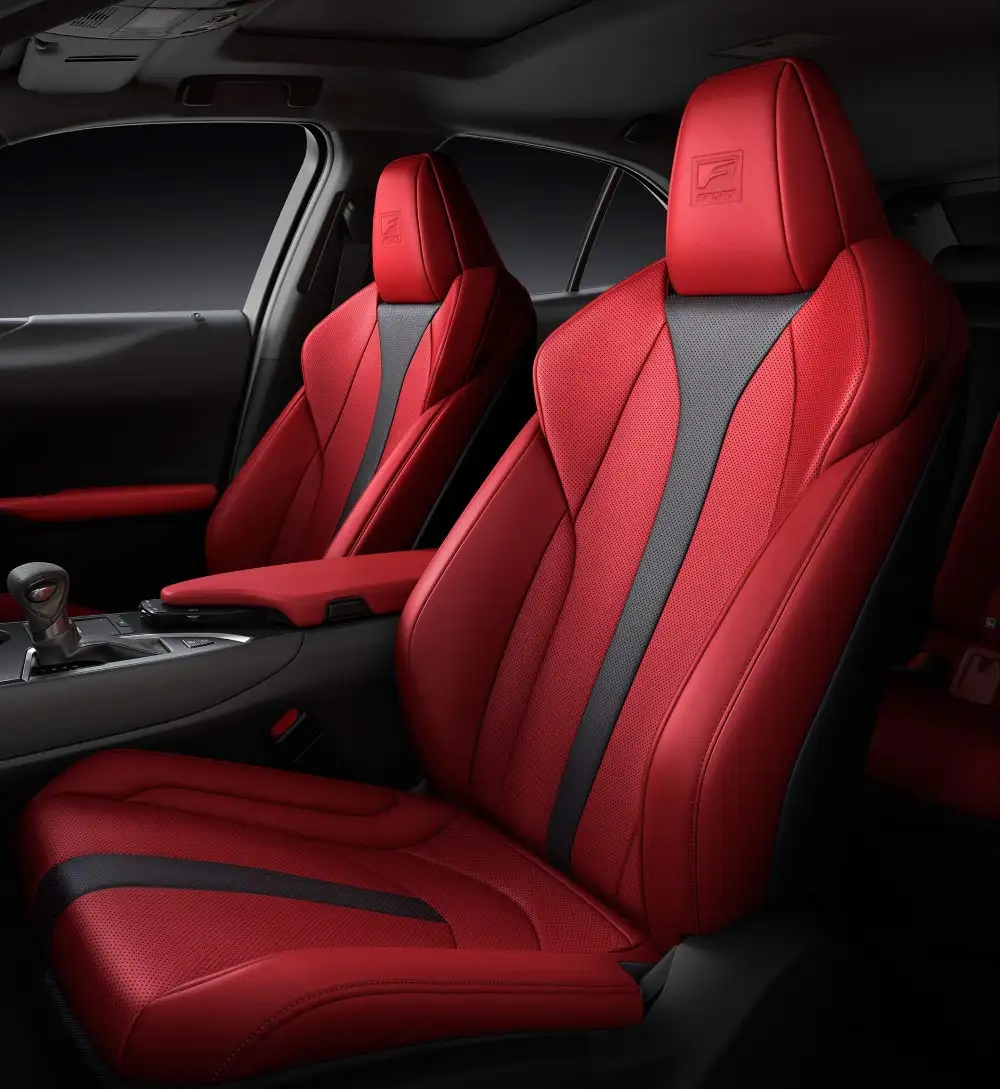 2020 Lexus UX 200 F Sport Platinum - view 8
