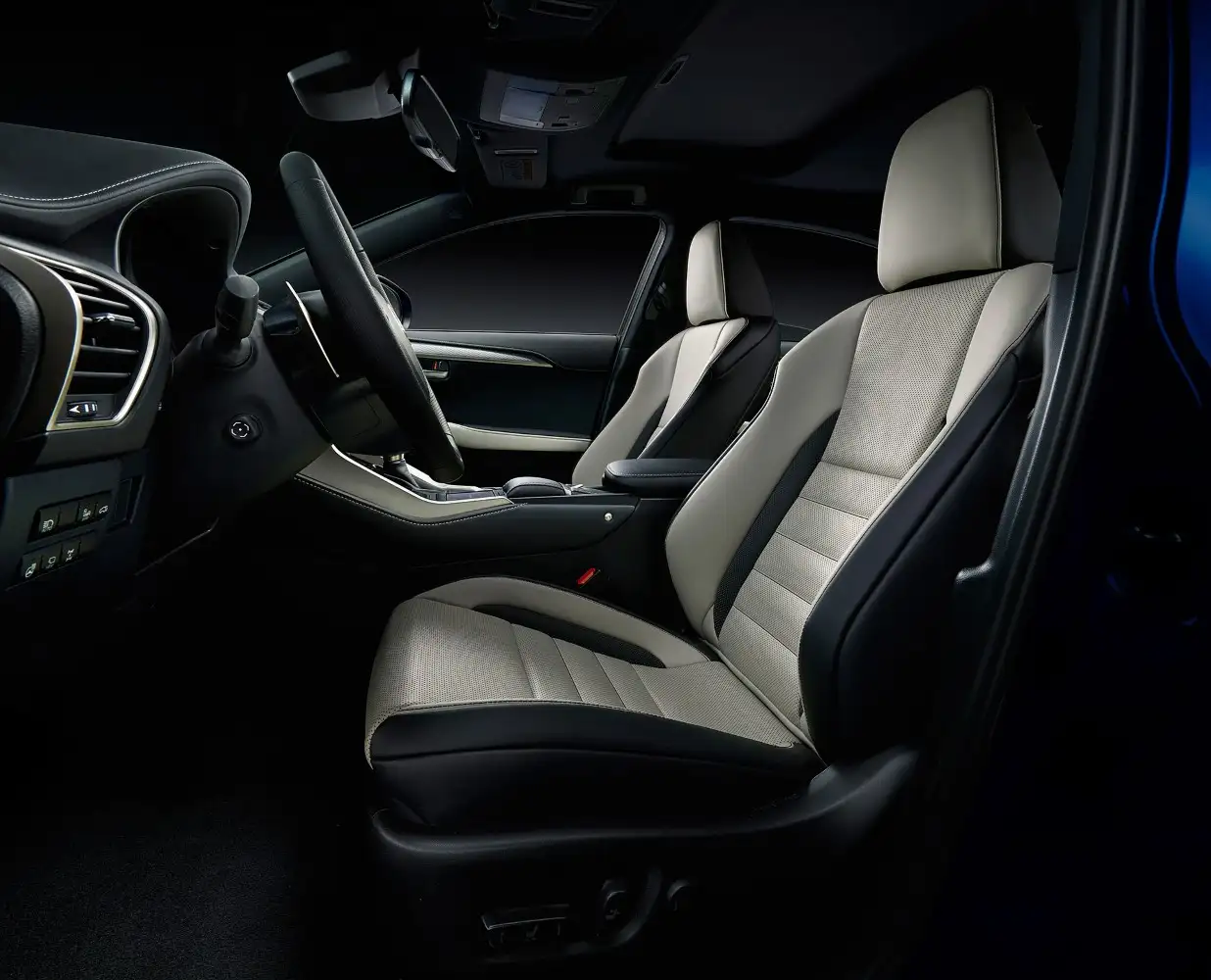 2020 Lexus NX 300 F-Sport Platinum - view 2