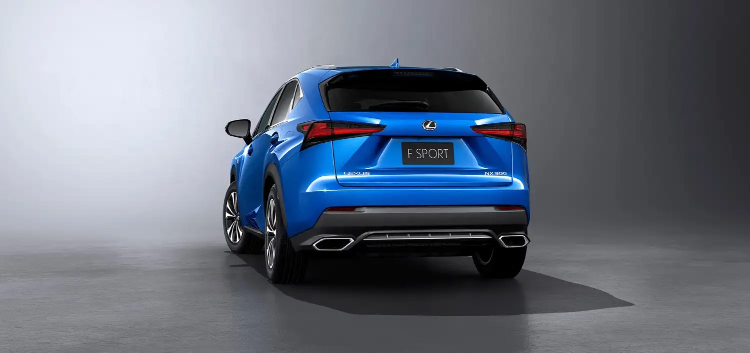 2020 Lexus NX 300 F-Sport Platinum - view 5