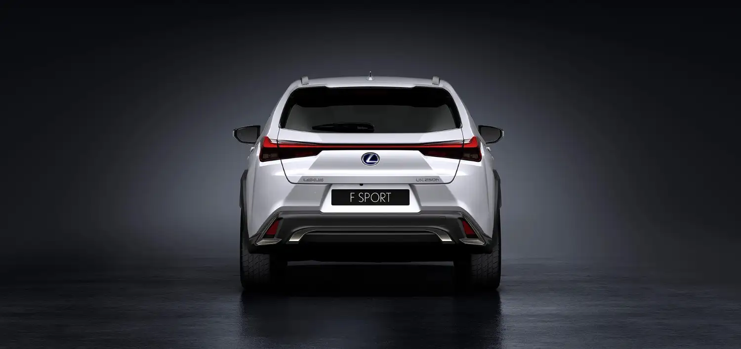 2020 Lexus UX 200 F Sport Platinum - view 6