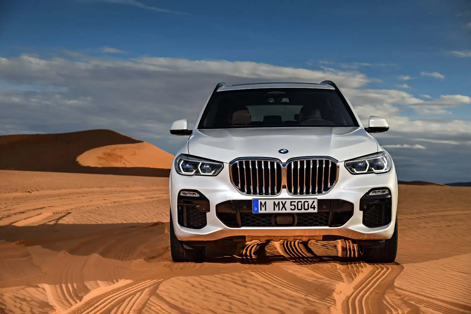 2021 BMW X5 xDrive40i Luxury M Sport Package - view 4
