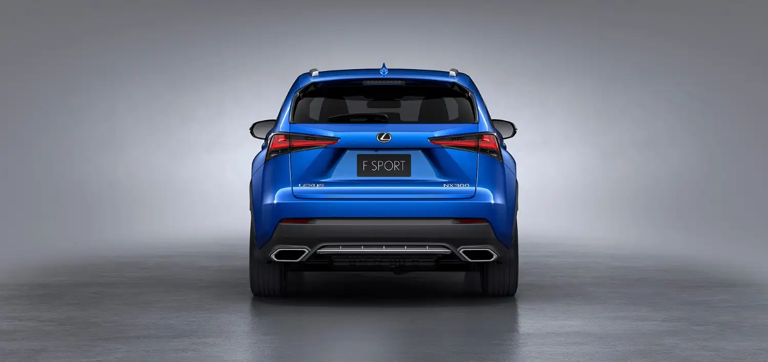 2020 Lexus NX 300 F-Sport Platinum - view 6