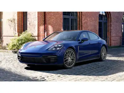 Porsche Panamera Platinum Edition Base Trim - Image 1